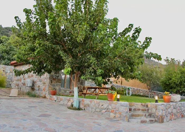 Karaincirevleri